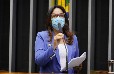 Rejane Dias é parlamentar piauiense que mais apresentou proposta na Câmara em 2021